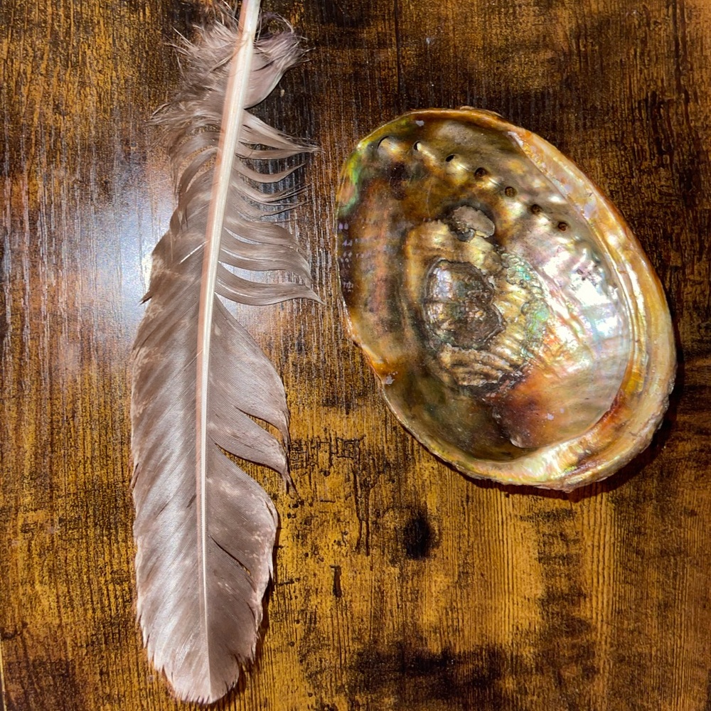 Iridescent Abalone Shell with Feather